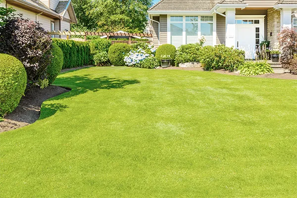 A well-maintained front yard with a green lawn and landscaping
